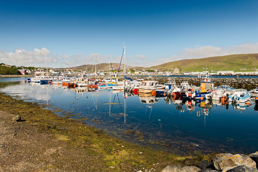 Shetland 587 copia